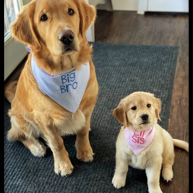 Little Brother & Little Sister Custom Dog Bandanas