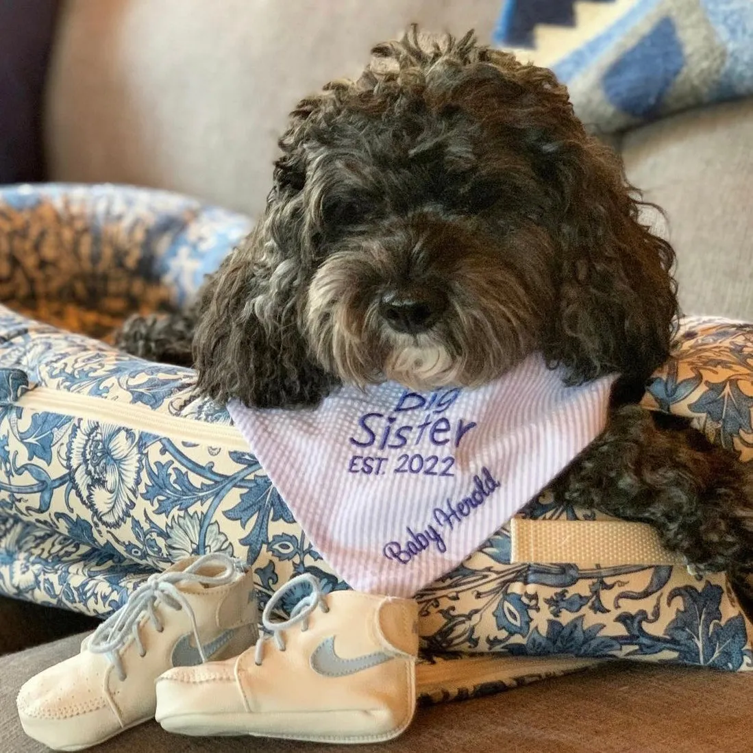 Little Brother & Little Sister Custom Dog Bandanas